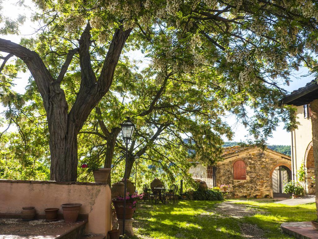 Agriturismo Verde Oliva Баньо-а-Риполи Экстерьер фото