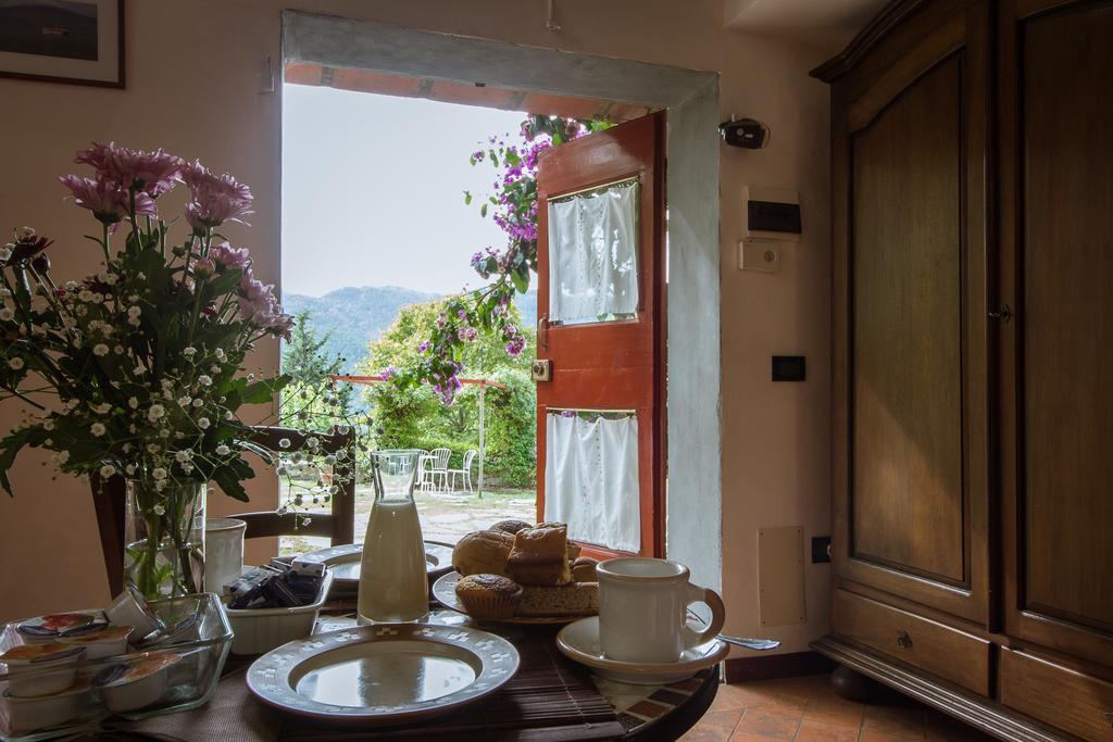 Agriturismo Verde Oliva Баньо-а-Риполи Экстерьер фото